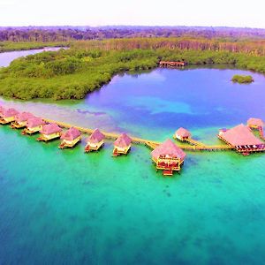 Punta Caracol Acqua Lodge